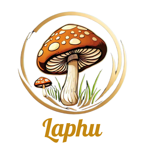 Laphu